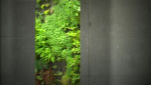 Huis Paradys Ep11