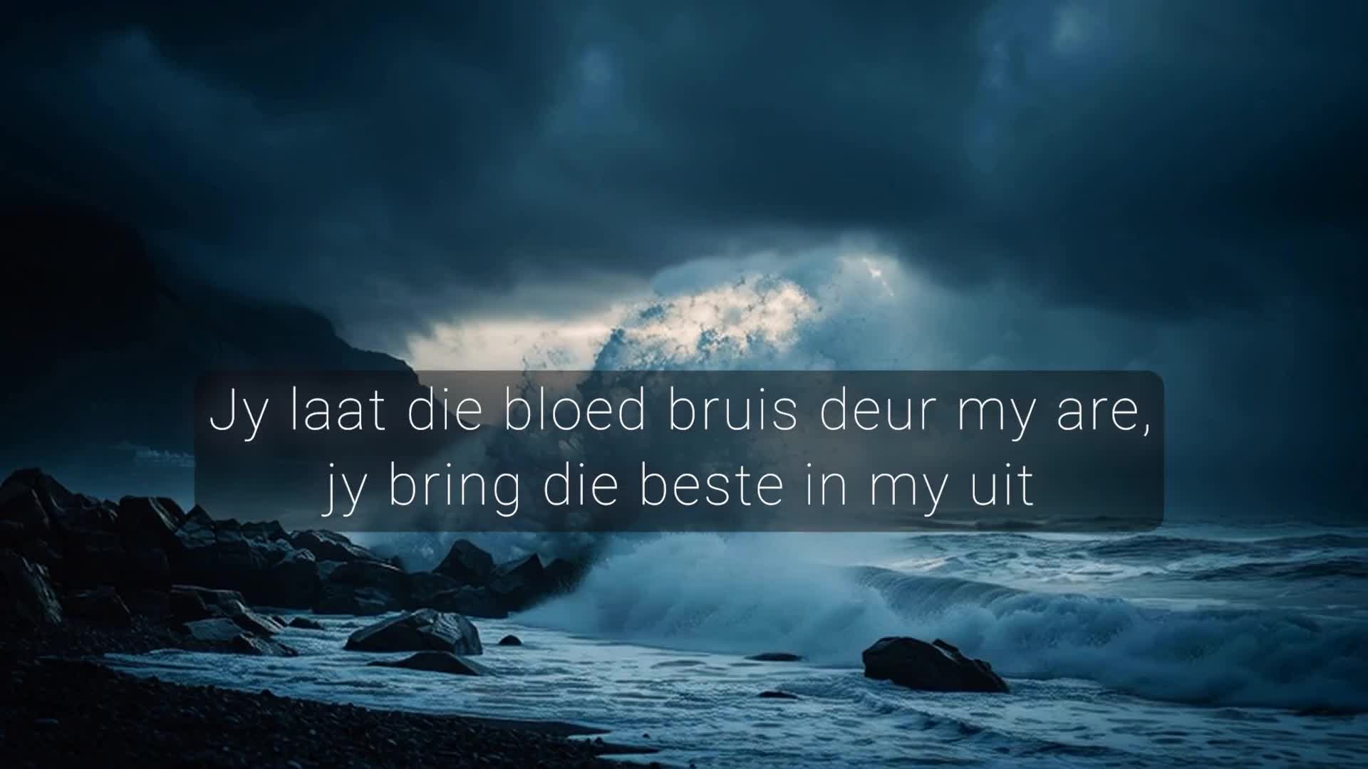 Patricia Coetzee - Stormhart
